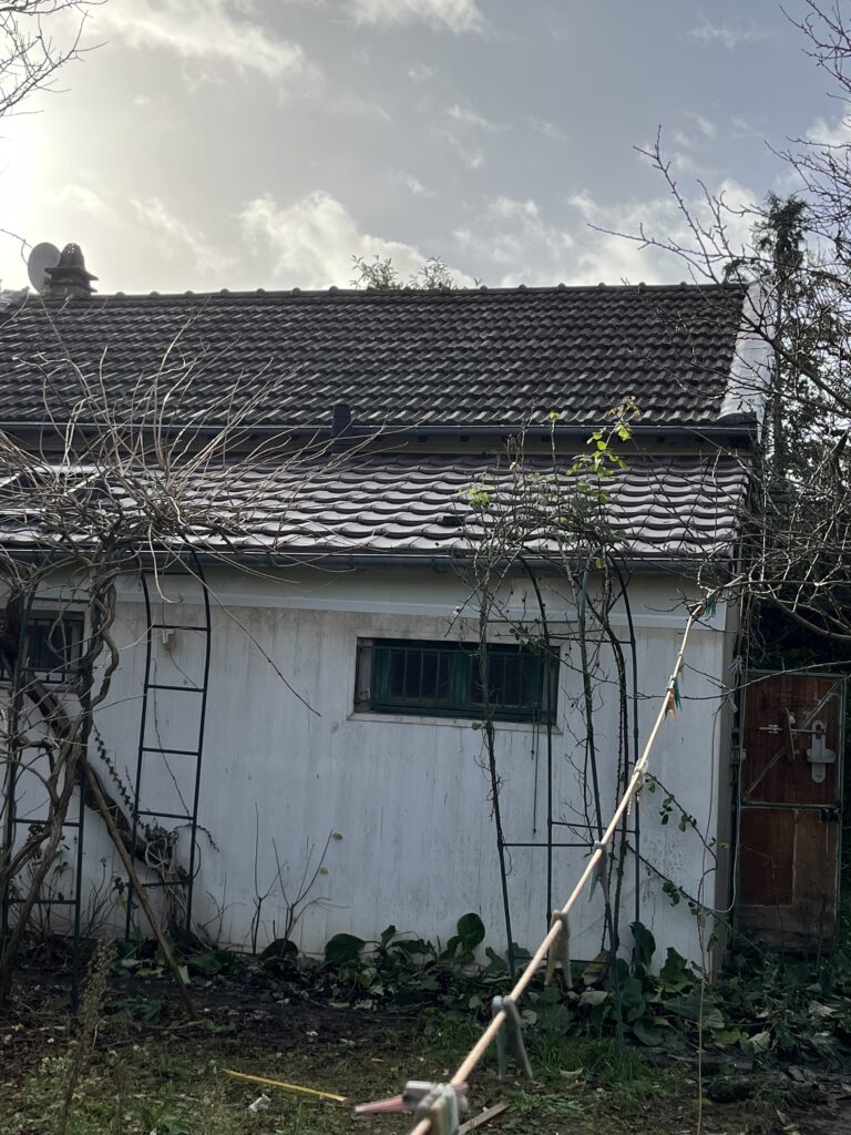 Toiture ancienne à rénover vue depuis le jardin