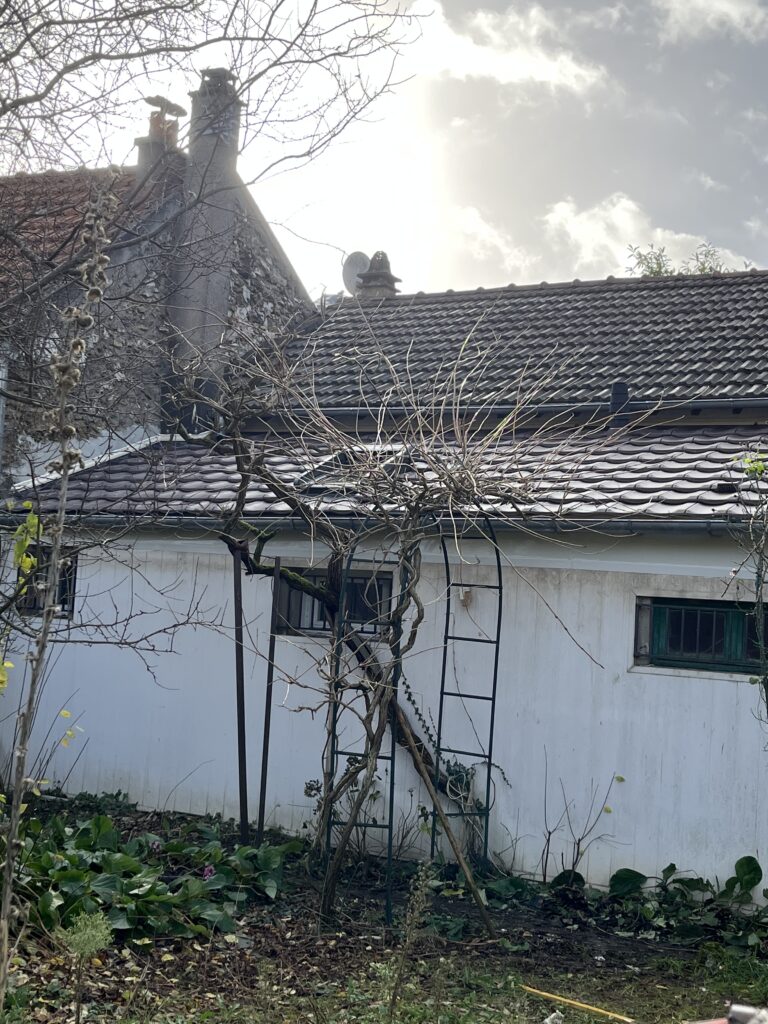 Maison ancienne avec toiture usée et végétation
